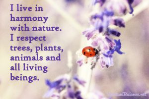 I live in harmony with nature. I respect trees, plants, animals and all living beings.