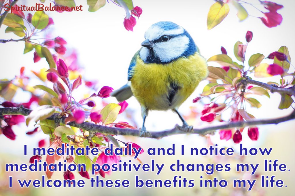 I-meditate-daily-and-I-notice-how-meditation-positively-changes-my-life.-I-welcome-these-benefits-into-my-life.-3-001-1024x683.jpg