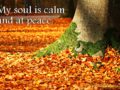 My soul is calm and at peace. ~ Affirmation for Inner Peace and Calmness