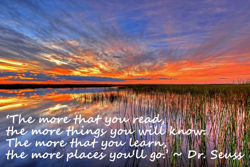 ‘The more that you read, the more things you will know. The more that you learn, the more places you'll go.’ – Dr. Seuss